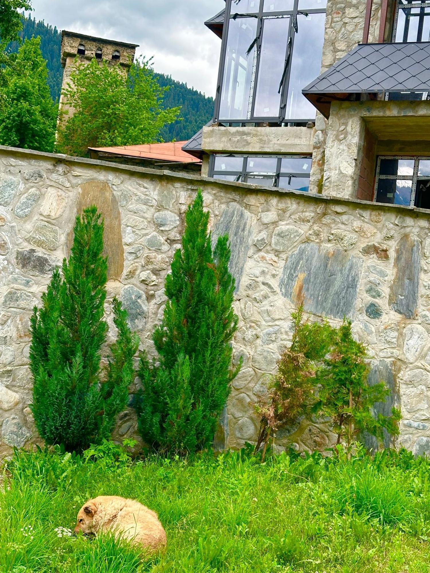 Mziuri Guest House 메스티아 외부 사진