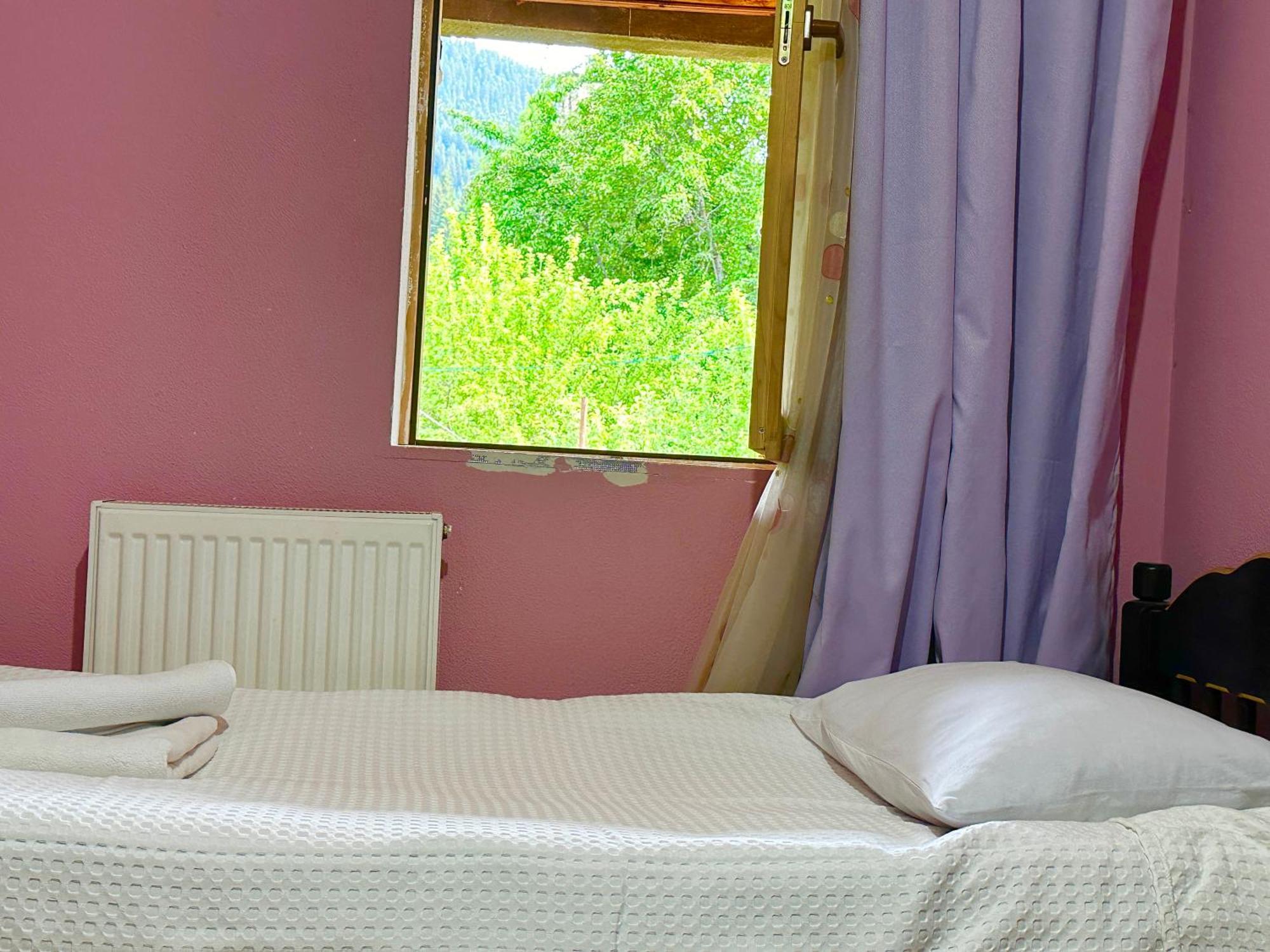Mziuri Guest House 메스티아 외부 사진