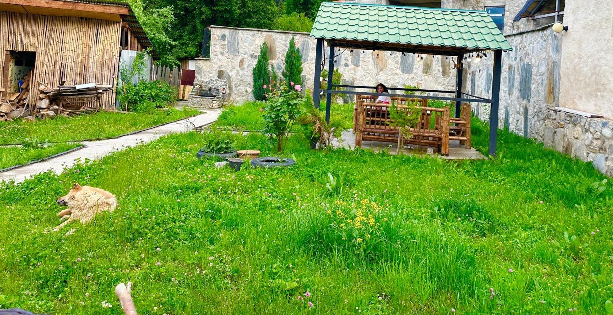Mziuri Guest House 메스티아 외부 사진