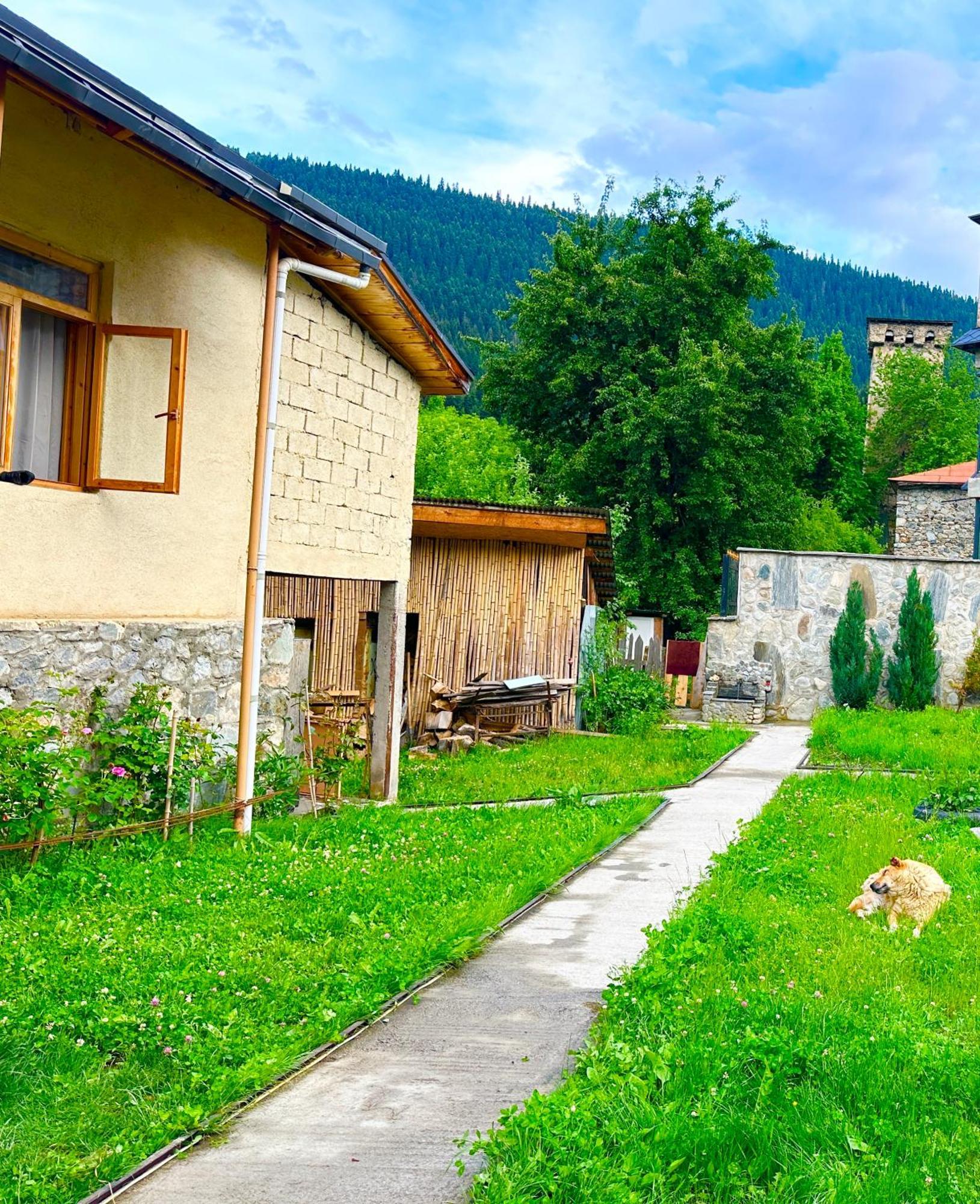 Mziuri Guest House 메스티아 외부 사진