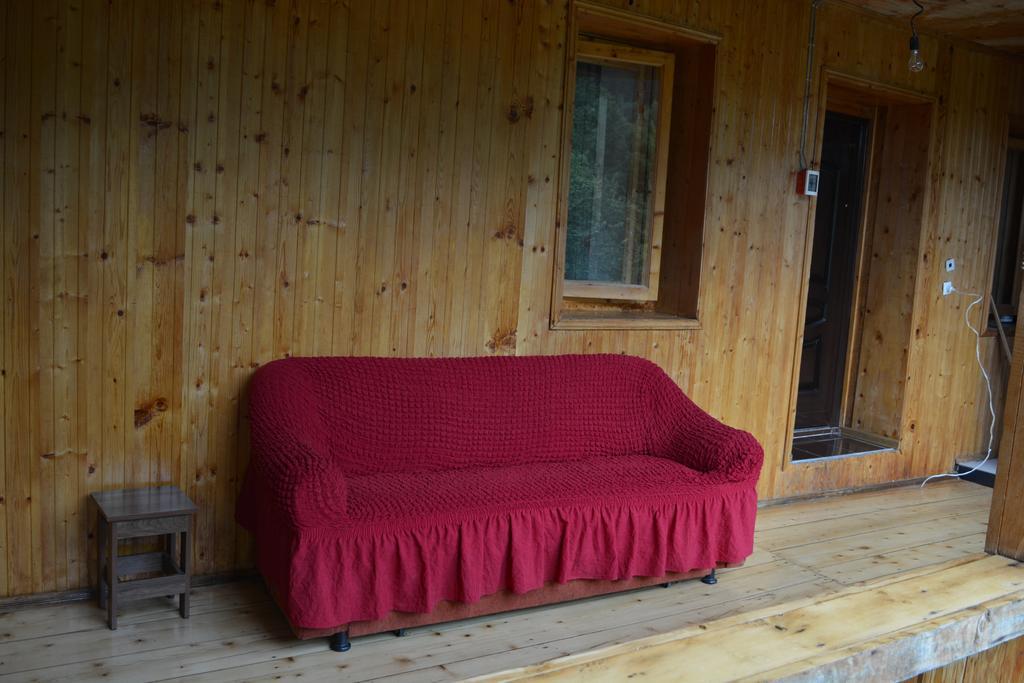 Mziuri Guest House 메스티아 외부 사진
